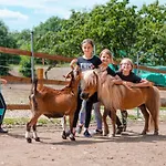 Caravan On Ranch ラグジュアリーテント Trebivlice
