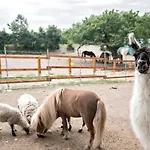 Caravan On Ranch ラグジュアリーテント