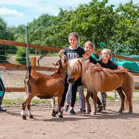 Caravan On Ranch 럭셔리텐트 Trebivlice