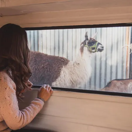 Tente de luxe Caravan On Ranch