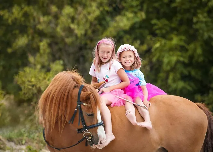 Luxury tent Caravan On Ranch *