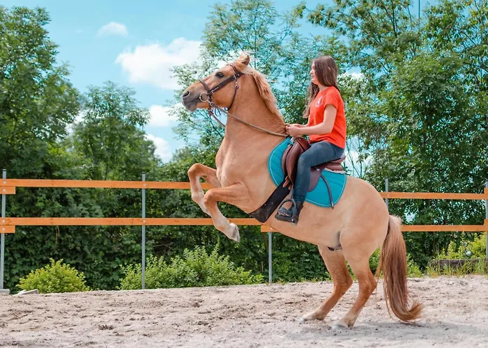 Caravan On Ranch Luxury tent