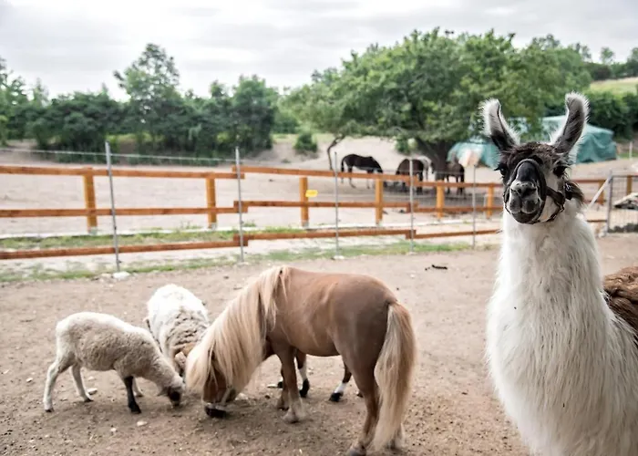 Caravan On Ranch Luxury tent
